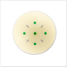 Aramith IPQT Q-Tru Training Ball