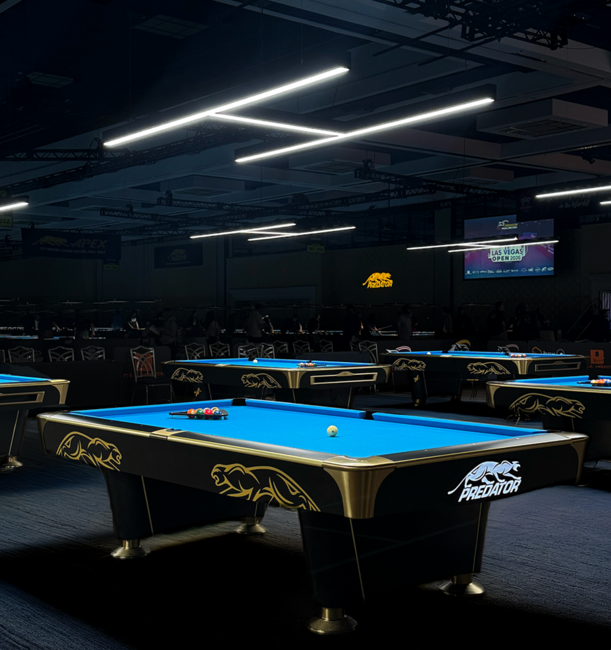 Predator Arena Light